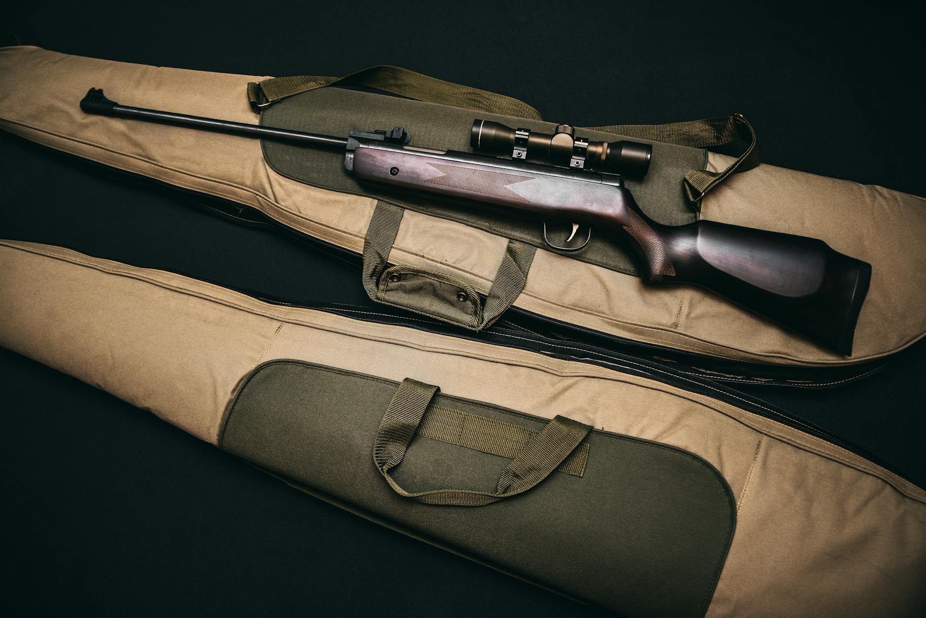 black rifle with scope and brown gig bag