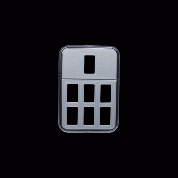 silver bullion case