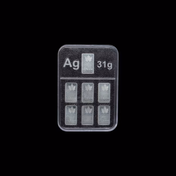 silver bullion case