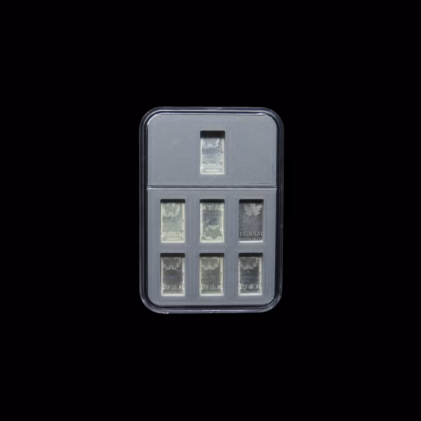 silver bullion case